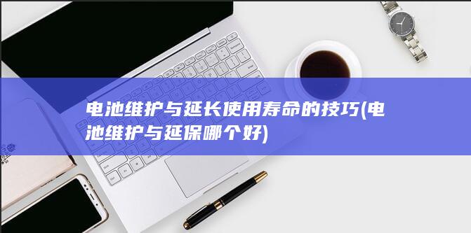 电池维护与延长使用寿命的技巧 (电池维护与延保哪个好)