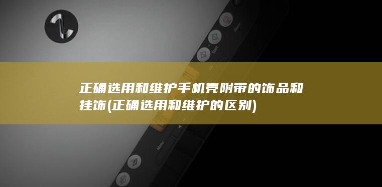 正确选用和维护手机壳附带的饰品和挂饰 (正确选用和维护的区别)