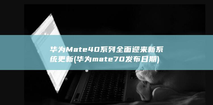 Mate40系列全面迎来新系统更新mate70发