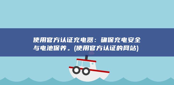 使用官方认证充电器：确保充电安全与电池保养。 (使用官方认证的网站)