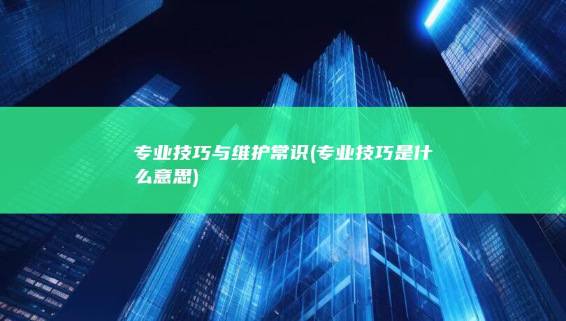 专业技巧与维护常识 (专业技巧是什么意思)