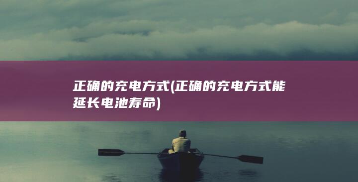 正确的充电方式 (正确的充电方式能延长电池寿命)