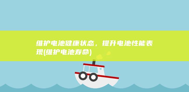 维护电池健康状态，提升电池性能表现 (维护电池寿命)