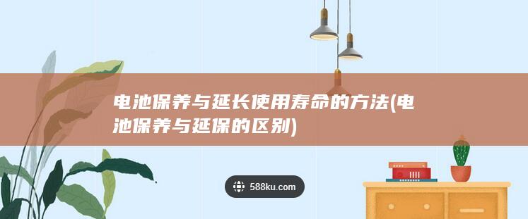 电池保养与延长使用寿命的方法 (电池保养与延保的区别)