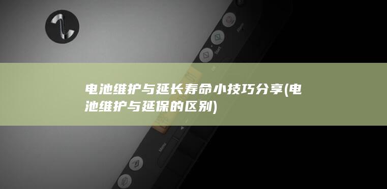 电池维护与延长寿命小技巧分享 (电池维护与延保的区别)