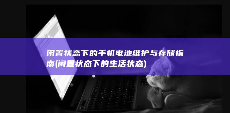 闲置状态下的手机电池维护与存储指南 (闲置状态下的生活状态)