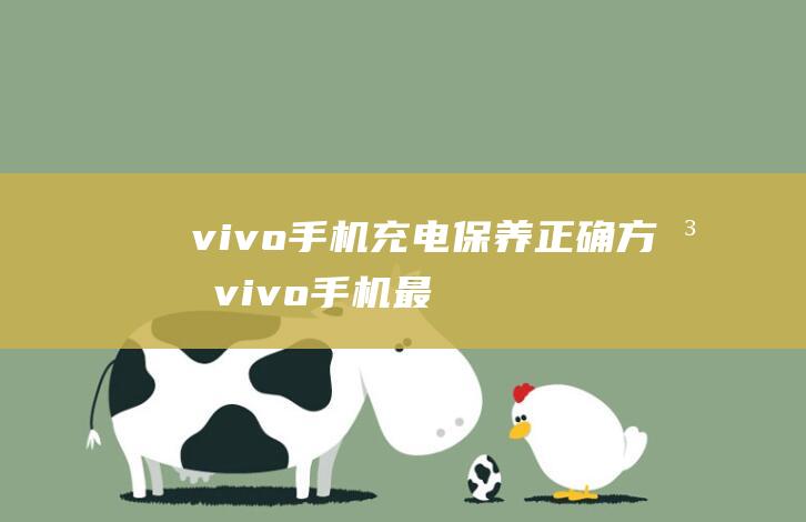 vivo手机充电保养正确方法 (vivo手机最新款是什么型号)