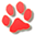 宠物天空 | 宠物网，中国宠物资讯社区平台，宠物行业门户网站