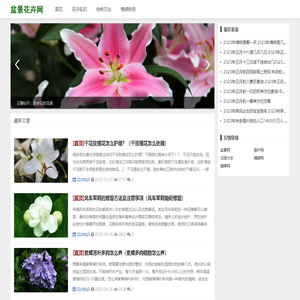 雪在香盆景网 - 国内最专业室内盆景，花卉盆栽在线交易第一平台